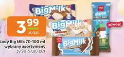 Gama Lody Big Milk oferta
