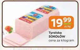 Gama Tyrolska sokołów oferta