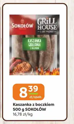 Gama Kaszanka z boczkiem sokołów oferta