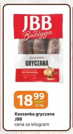 Gama Kaszanka gryczana jbb oferta
