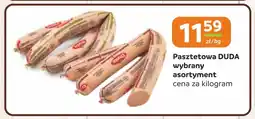 Gama Pasztetowa duda oferta
