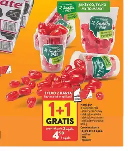 Intermarche Pomidor cherry czerwony daktylowy trójkąt oferta