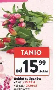 Intermarche Tulipany oferta