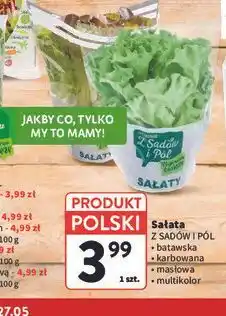 Intermarche Sałata oferta