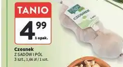Intermarche Czosnek oferta