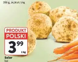 Intermarche Seler korzeń polska oferta