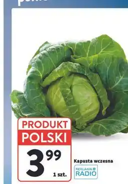 Intermarche Kapusta wczesna oferta
