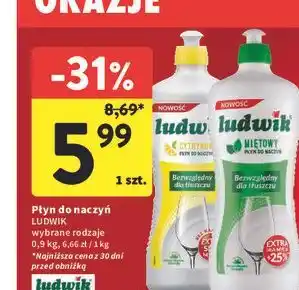 Intermarche Płyn do naczyń LUDWIK oferta