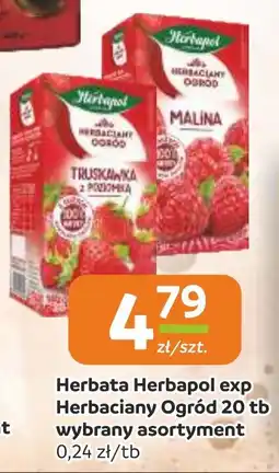 Gama Herbata Herbapol exp Herbaciany Ogród oferta
