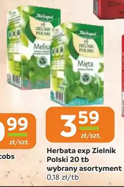 Gama Herbata exp Zielnik Polski oferta
