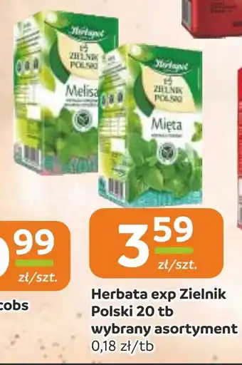 Gama Herbata exp Zielnik Polski oferta
