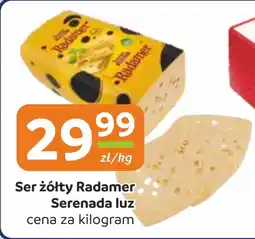 Gama Ser żółty Radamer Serenada luz oferta