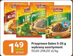 Gama Przyprawa Galeo oferta