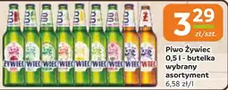 Gama Piwo Żywiec oferta