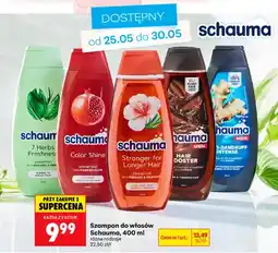 Biedronka Szampon do włosów 7 Herbs Freshness Schauma oferta