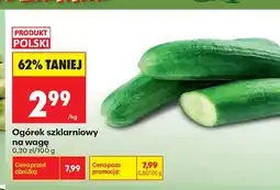 Biedronka Ogórek szklarniowy na wagę polski oferta