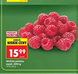 Biedronka Malina polska oferta