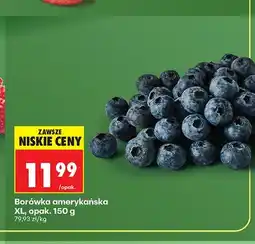 Biedronka Borówka amerykańska XL oferta