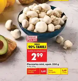 Biedronka Pieczarka mini oferta