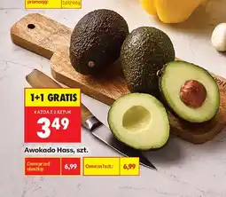 Biedronka Awokado Hass oferta