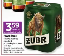 Stokrotka Piwo ŻUBR 4-pak puszka oferta