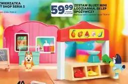 Stokrotka Zestaw Bluey mini lodziarnia oferta