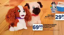 Stokrotka Zabawka piesek interaktywny Puppy Luv oferta