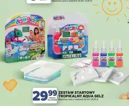 Stokrotka Zestaw startowy tropikalny Aqua Gelz oferta