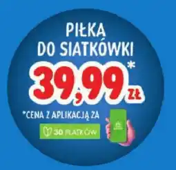 Stokrotka Piłka do siatkówki oferta