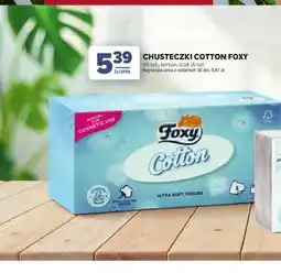 Stokrotka Chusteczki Cotton Foxy oferta