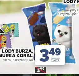 Stokrotka Lody Burza Koral oferta