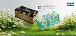 Stokrotka Chusteczki Regina elegante oferta