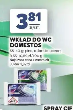 Stokrotka Wkład do WC Domestos pine oferta