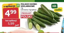 Stokrotka Polskie ogórki szklarniowe oferta