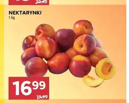 Stokrotka Nektarynki oferta