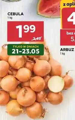 Stokrotka Cebula oferta