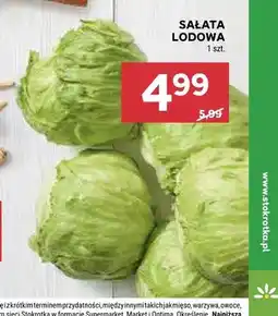Stokrotka Sałata lodowa oferta