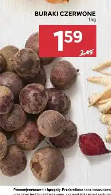 Stokrotka Buraki czerwone oferta