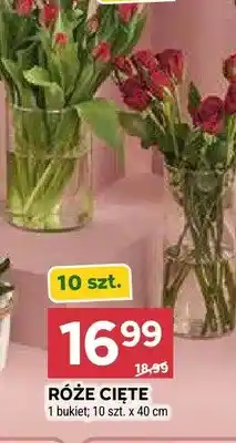 Stokrotka Róże cięte 40cm oferta