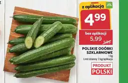 Stokrotka Ogórki szklarniowe polskie oferta