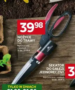 Stokrotka Nożyce do trawy GERLACH oferta