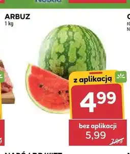 Stokrotka Arbuz oferta