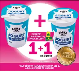 Groszek Jogurt naturalny kanka oferta