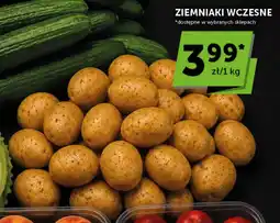 Groszek Ziemniaki wczesne oferta