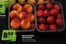 Groszek Brzoskwinie, nektaryny oferta