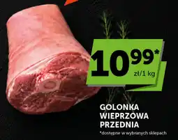 Groszek Golonka wieprzowa przednia oferta