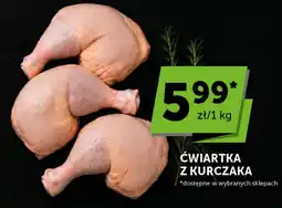 Groszek Ćwiartka z kurczaka oferta