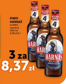 Groszek Piwo harnaś oferta