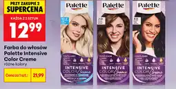 Biedronka Farba do włosów Palette Intensive Color Creme oferta