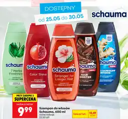 Biedronka Szampon do włosów Schauma oferta